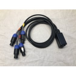 Speakon Adapter - Speakon 8 Chassis til 4x Speakon 4  1m