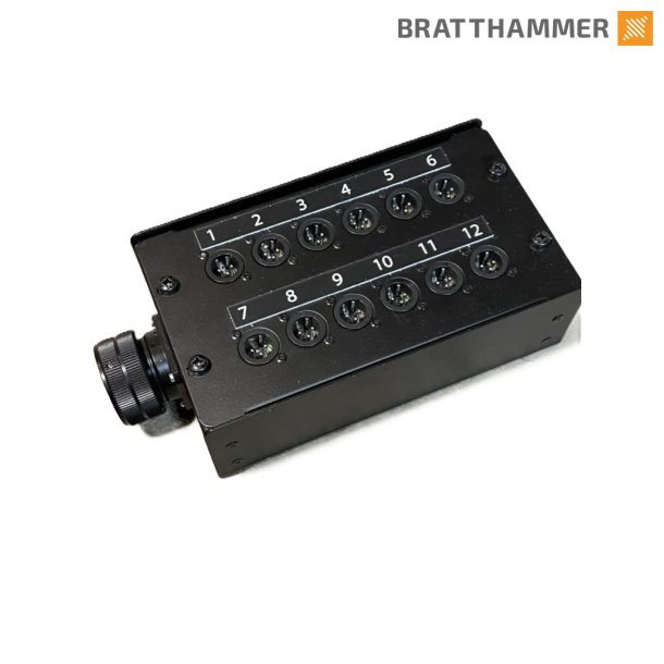 LK37 stageboks - 1x LK37 Female 12x XLR 3-pin Male