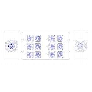 Socapex Stageboks - 6x powercon, 6x true1 + soca link