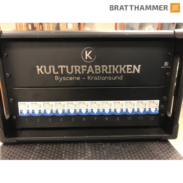 PDU 6U 230V 63A 12-kurser - 12x Singel schuko