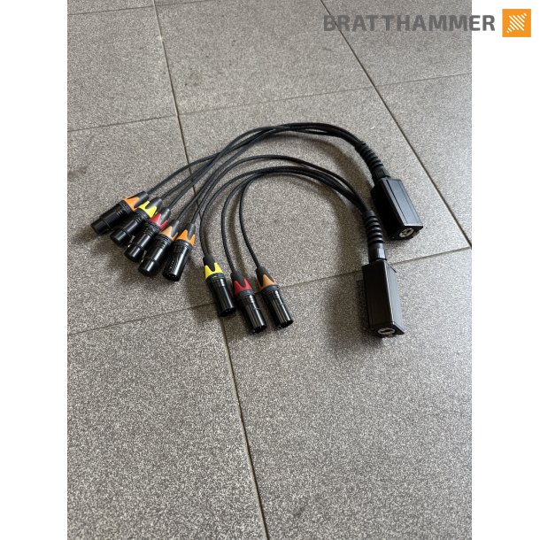 Ethercon -  4x XLR 5pin male 